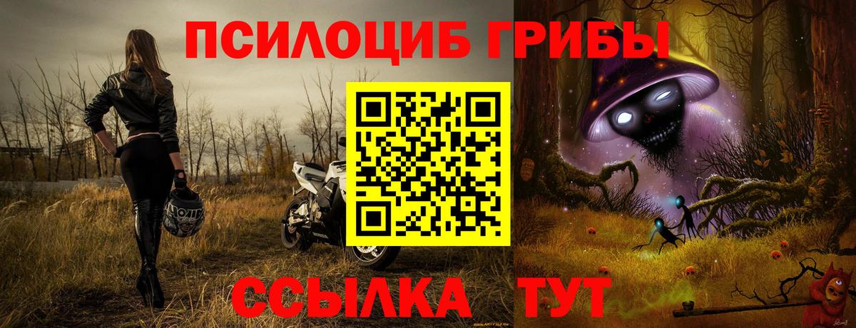 Псилоцибиновые грибы Psilocybine cubensis  Вход с VPN  Кандалакша 